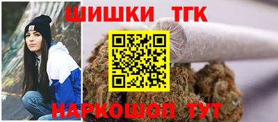 мдпв Жуковский