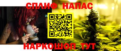 мдпв Дубна
