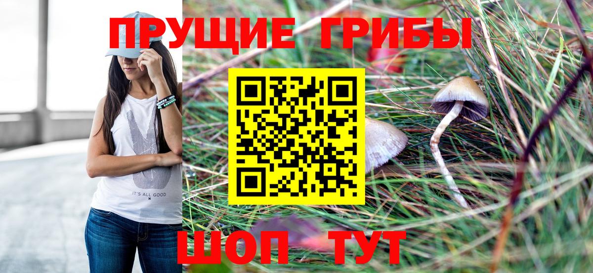 Галлюциногенные грибы мицелий Мелеуз