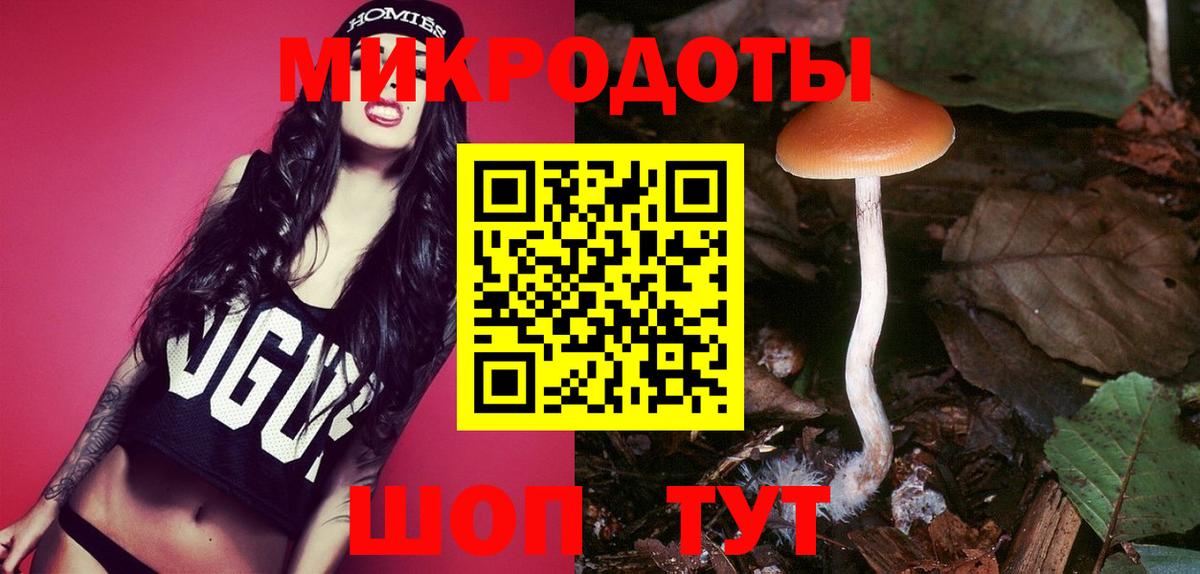 Галлюциногенные грибы Psilocybine cubensis  Вход с VPN  Мелеуз 